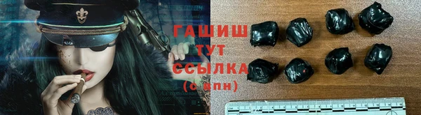 МДПВ Новозыбков