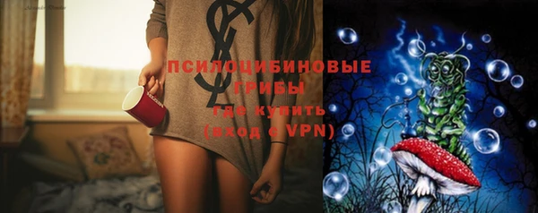 твердый Алексеевка
