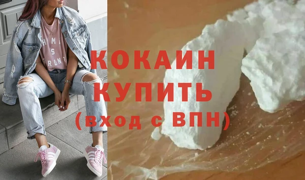 прущие грибы Новокубанск