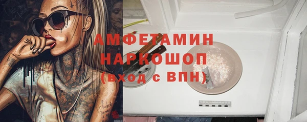 прущие грибы Новокубанск